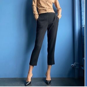 Aritzia Babaton Conan Pant